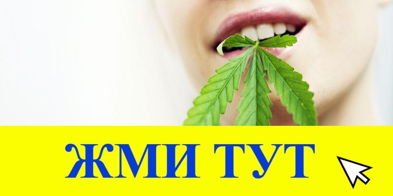 Купить наркотики в Светлограде